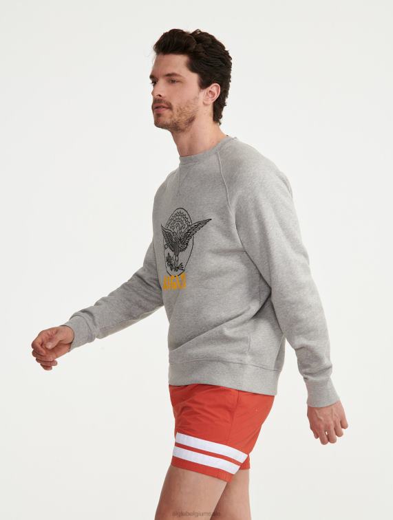 Heren kleren licht gemêleerd grijs Aigle geborduurd sweatshirt met ronde hals J404Z82