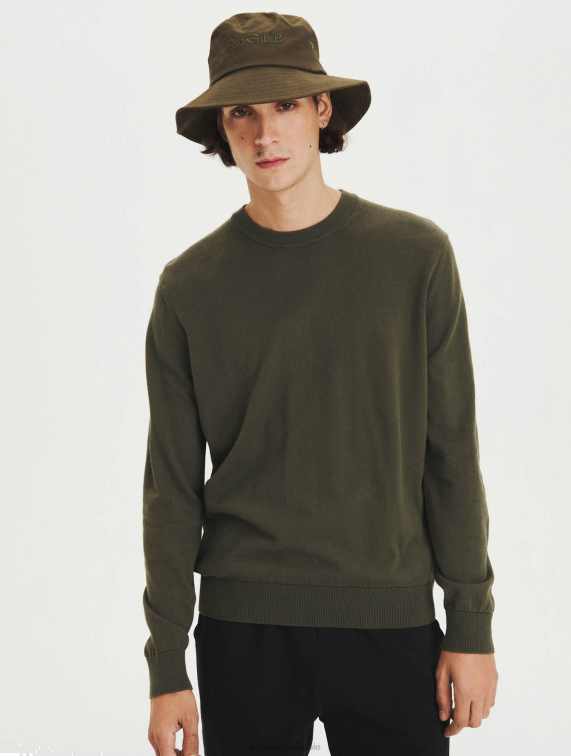 Heren kleren advocaat Aigle Trui van biologisch katoen met ronde hals J404Z91