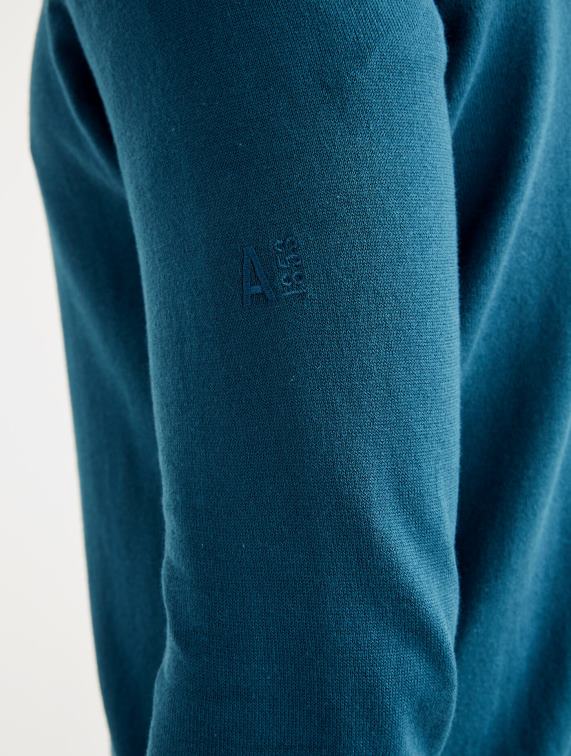 Heren kleren stormblauw Aigle Fijngebreide trui met halve rits en hoge hals J404Z29