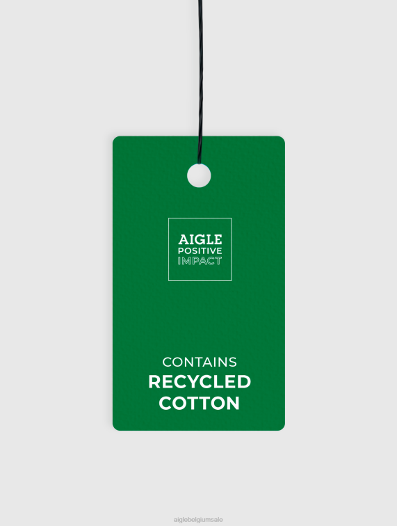 Heren schoenen terre Aigle milieuvriendelijke wandelschoenen J404Z339